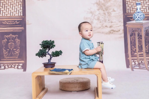 三沙可爱的企鹅宝宝